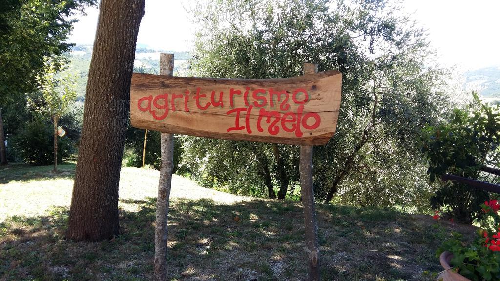 Agriturismo Il Melo Valfabbrica Exterior photo